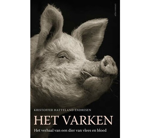 Het varken