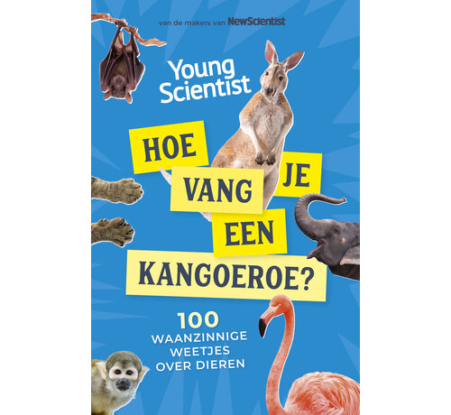 Hoe vang je een kangoeroe?