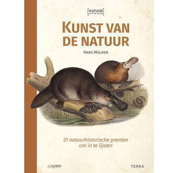 Nieuw binnen Natuur aan de muur - Kunst van de natuur