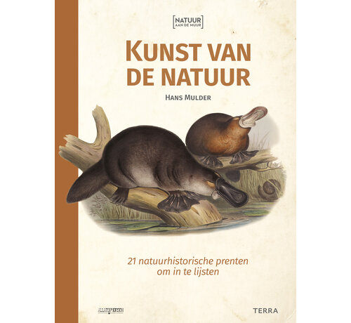 Natuur aan de muur - Kunst van de natuur