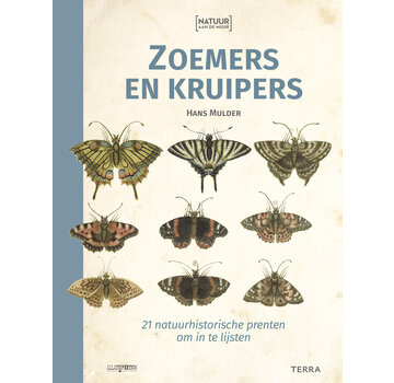 1+1 gratis Natuur aan de muur - Zoemers en kruipers