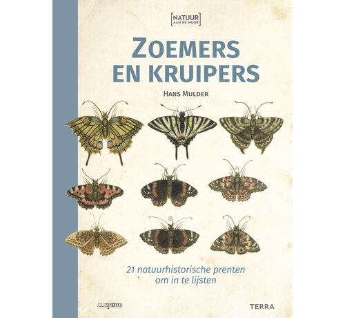 Natuur aan de muur - Zoemers en kruipers