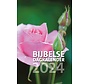 Bijbelse Dagkalender - 2024