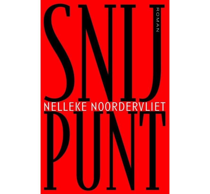 Snijpunt