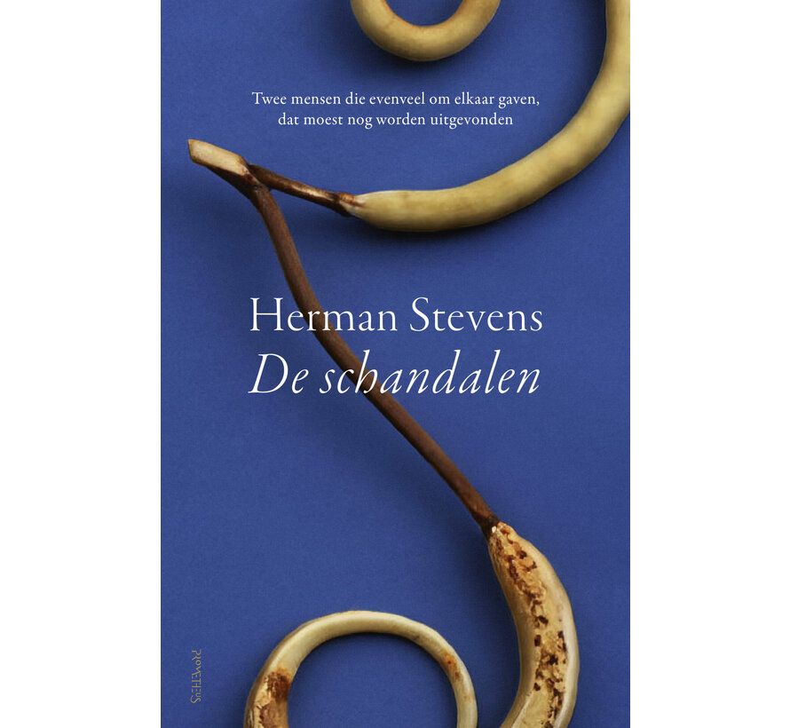 De schandalen