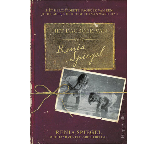 Het dagboek van Renia Spiegel