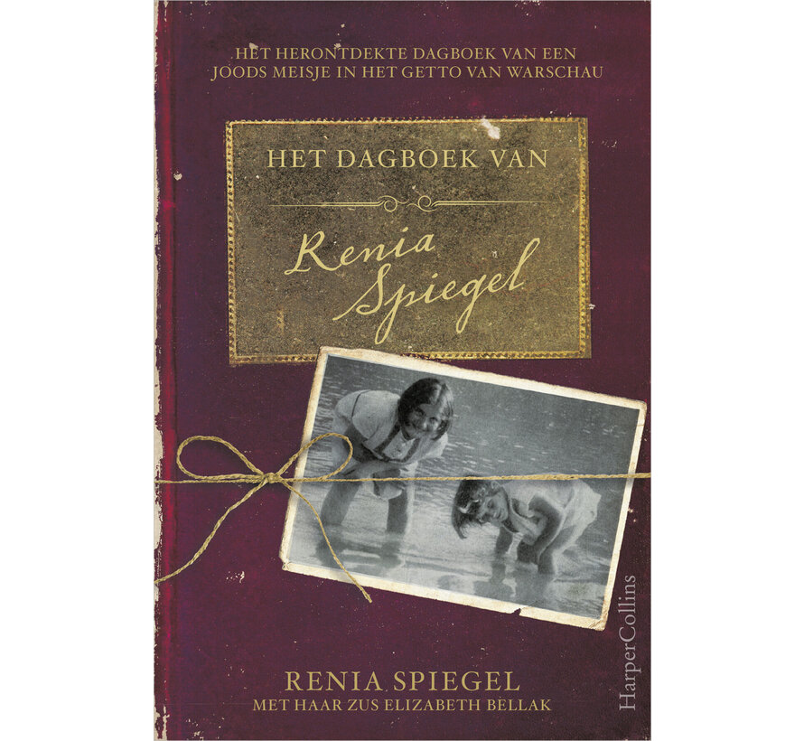 Het dagboek van Renia Spiegel