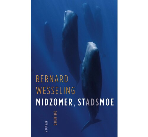 Midzomer, stadsmoe