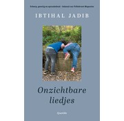 Onzichtbare liedjes