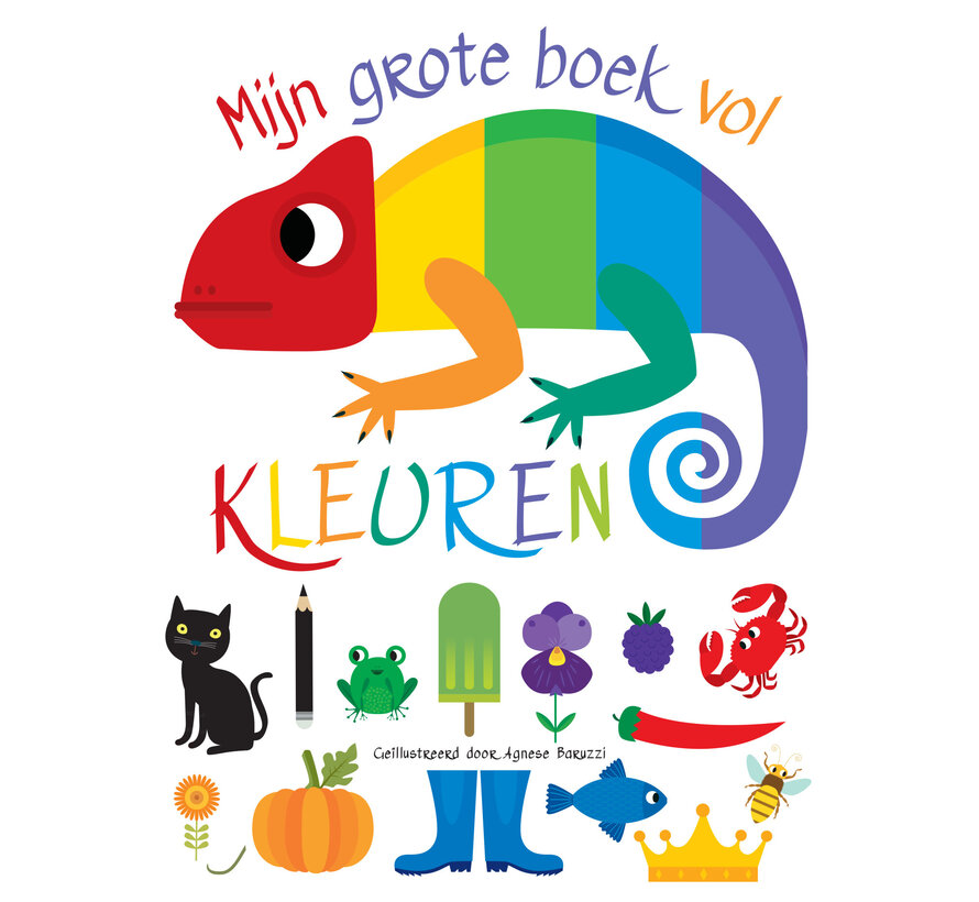 Mijn grote boek vol - Mijn grote boek vol kleuren