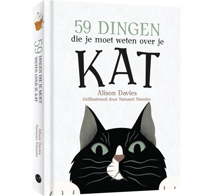 59 dingen die je moet weten over je kat