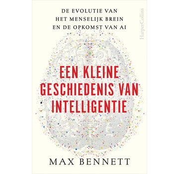 Een kleine geschiedenis van intelligentie