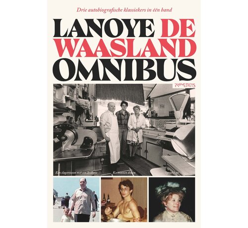 De Waasland omnibus