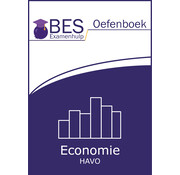 BES oefenboek economie havo