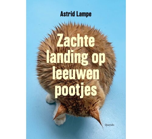 Zachte landing op leeuwenpootjes