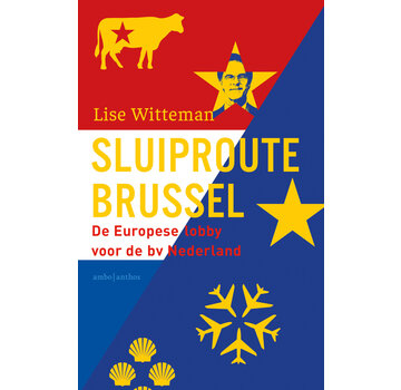 Sluiproute Brussel