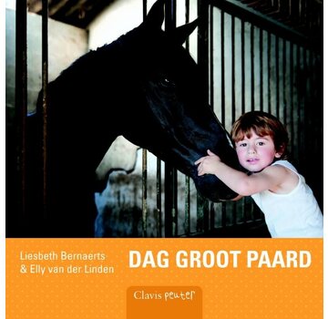 Dag groot paard