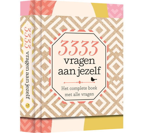 3333 vragen aan jezelf