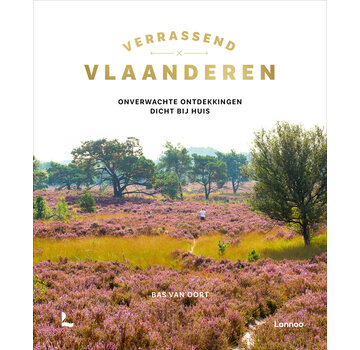 Verrassend Vlaanderen