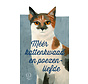 Méér kattenkwaad en poezenliefde