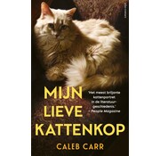 Mijn lieve kattenkop