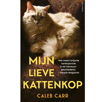 Mijn lieve kattenkop