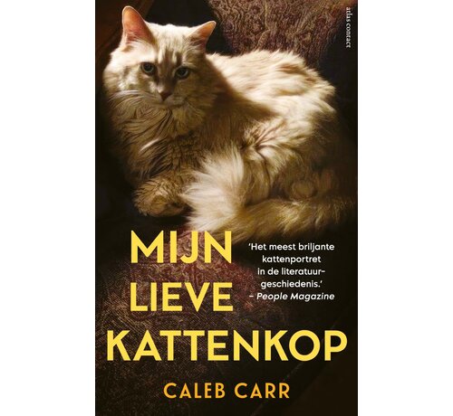 Mijn lieve kattenkop