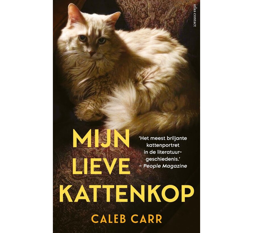 Mijn lieve kattenkop