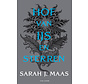 Hof van doorns en rozen 4 - Hof van ijs en sterren