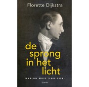 De sprong in het licht