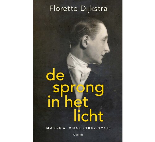 De sprong in het licht