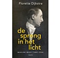 De sprong in het licht