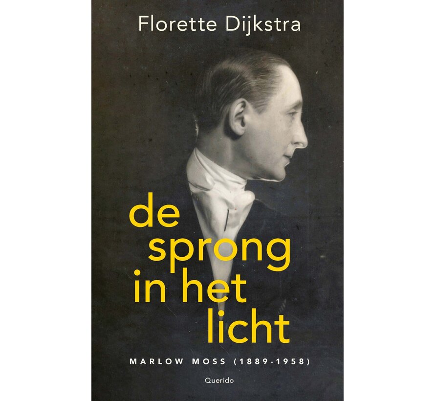 De sprong in het licht