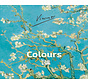 Vincent - Vincent – Colours