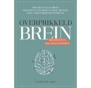 Overprikkeld brein