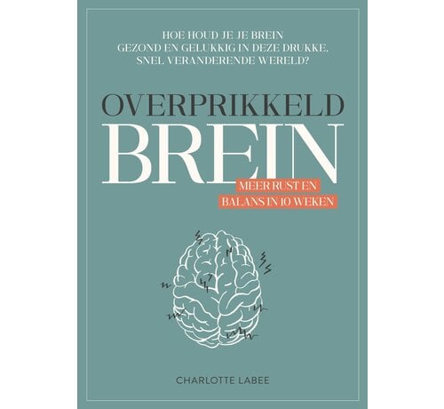 Overprikkeld brein