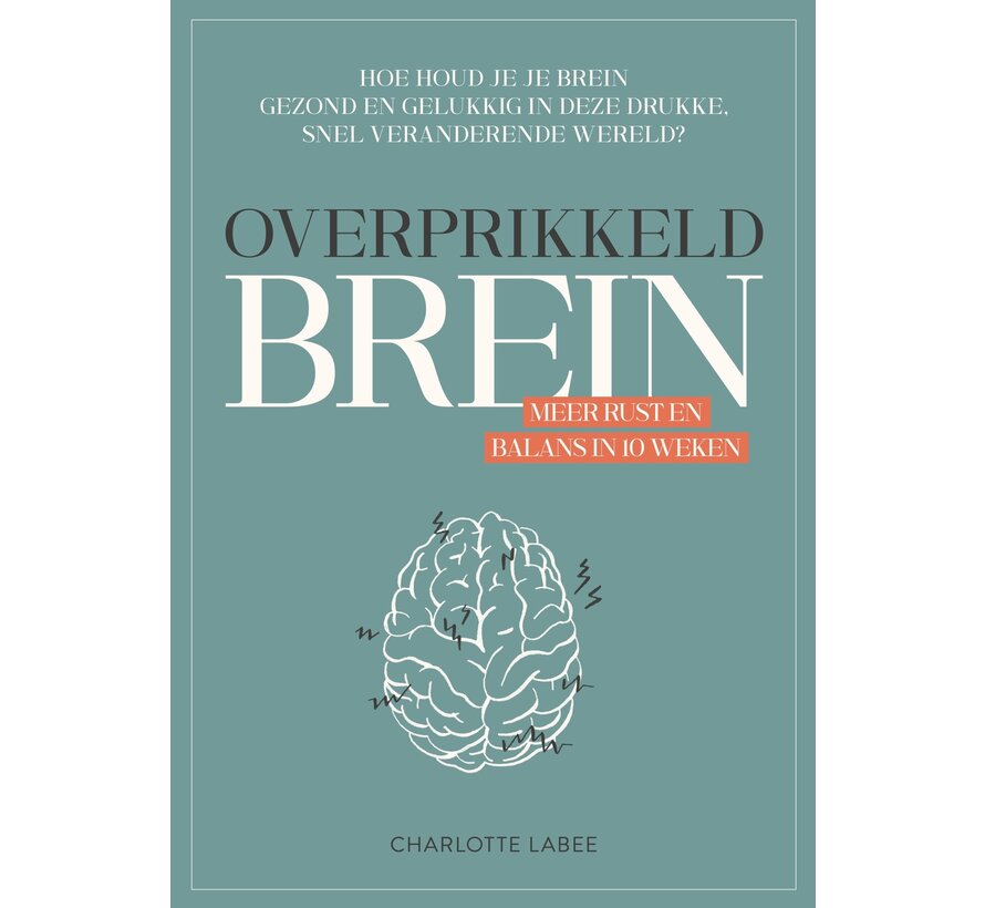 Overprikkeld brein