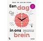 Ons lichaam - Een dag in ons brein