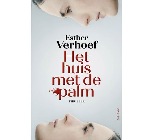 Het huis met de palm