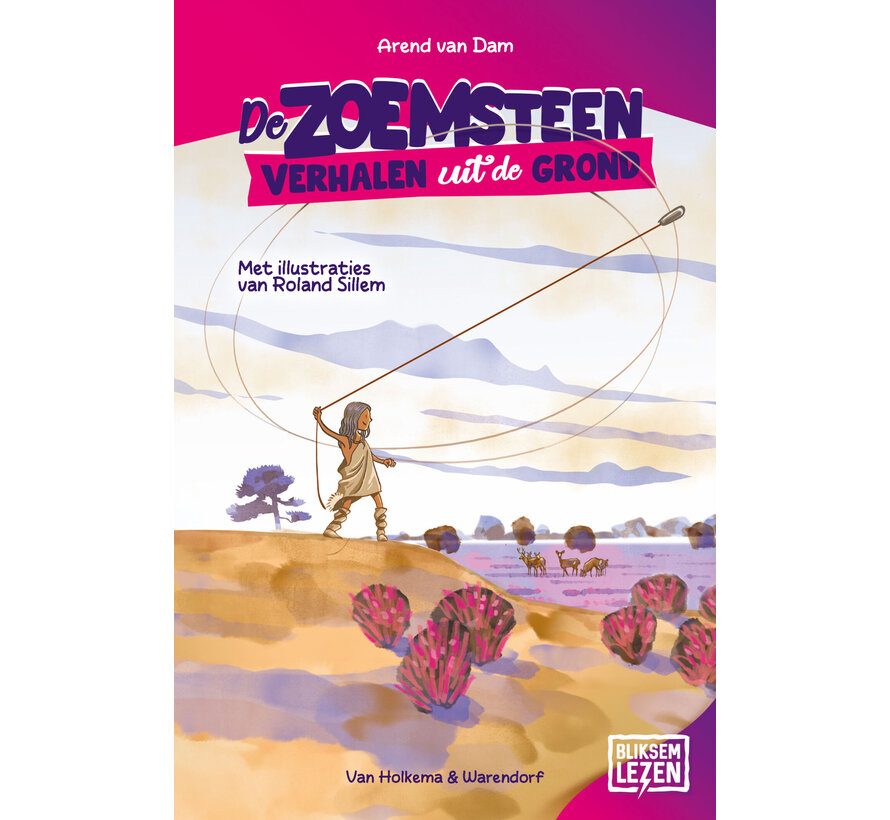 Bliksemlezen - De zoemsteen