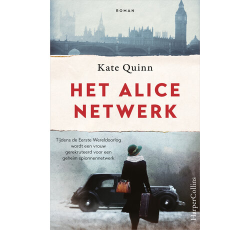 Het Alice netwerk