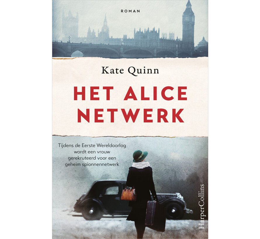 Het Alice netwerk