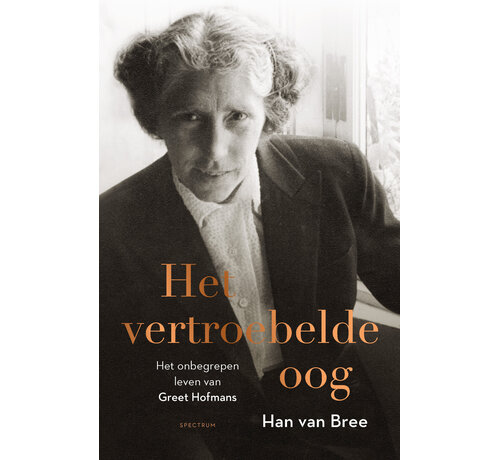 Het vertroebelde oog