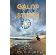 Nieuw binnen Manege Paardenliefde 3 - Galop door de storm