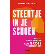 Steentje in je schoen