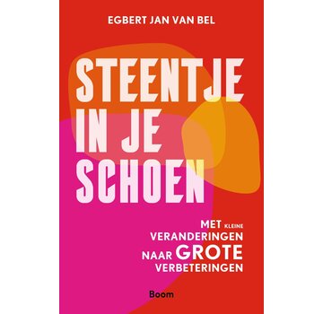 Steentje in je schoen