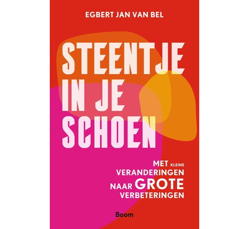 Steentje in je schoen