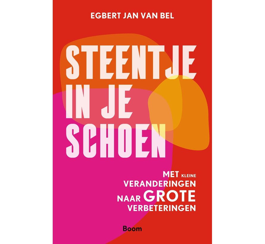 Steentje in je schoen