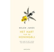 Nieuw binnen Het hart van de honingbij