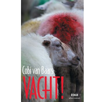 Vacht!